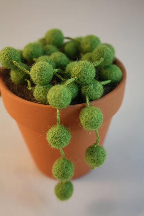 Pearl Plant, String Of Pearls Plant, Cactus Craft, Felt Succulents, Needle Felting Diy, Plant Decoration, Wool Needle Felting, Crochet Cactus, Crochet Plant