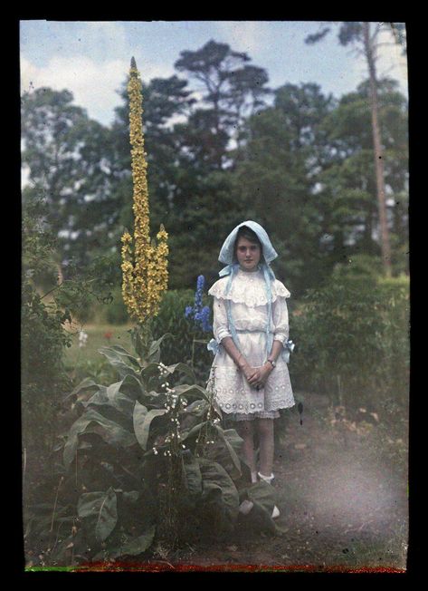 Girls And Gardens : The English Lady's Autochromes (c.1908) - Flashbak Childhood Innocence, Subtractive Color, Image Positive, Colorized Photos, Girl Standing, Color Film, Female Photographers, Colour Photograph, Vintage Photographs