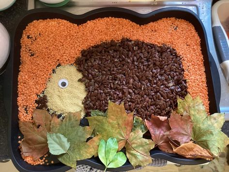 Activities For One Year Olds, Sensory Tray, Fine Motor Development, Motor Development, Tuff Tray, Messy Play, Toddler Halloween, Toddler Learning Activities, Nature Activities