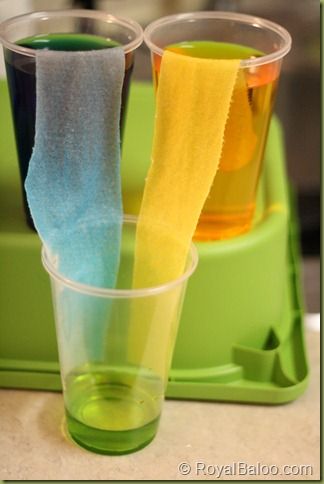 The 'Walking' Water Experiment - Great easy science experiment that shows how water travels and then how colors mix to create new colors. Walking Water Experiment, Vetenskapliga Experiment, Fishing Tricks, Science Experience, Fishing Hacks, Water Experiments, Kid Science, Easy Science Experiments, Kindergarten Science