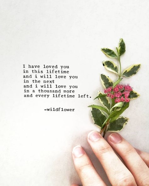 w i l d f l o w e r | poetry on Instagram: “To my soulmate when I find you 🖤🌌✨ // @wildflower.musings | #wildflowermusings” Wild Flower Quotes, Urdu Literature, To My Soulmate, Love And Relationships, Twin Flame Love, My Soulmate, Flower Quotes, D F, Really Love You