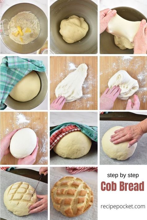 Beginner Bread Recipe, Cob Loaf Dip, Cob Bread, Loaf Bread Recipe, Cob Loaf, Lemon Cupcake Recipe, Gluten Free Sandwich Bread, Cream Cheese Sugar Cookies, Bread Tin