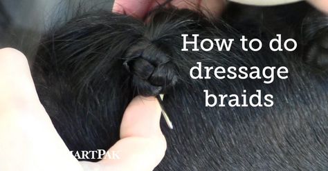 Dressage Braids, Horse Plaits, Hunter Braids, Horse Mane Braids, Horse Hacks, Horse Hair Braiding, Dressage Tests, French Braids Tutorial, Plait Braid