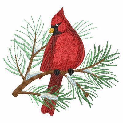 Christmas Birds 2, 7 - 2 Sizes! Cardinal Embroidery, Cardinal Birds Art, Bird Cardinal, Embroidery Kitchen, Christmas Birds, Quilting Software, Embroidery Designs Machine, Birds Embroidery Designs, Animal Embroidery Designs