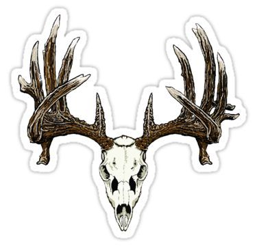 Deer Skull Drawing, Elk Skull, Deer Mask, Deer Skull Art, Feather Stickers, Hunting Tattoos, Eagle Feather, Whitetail Bucks, Buck Deer