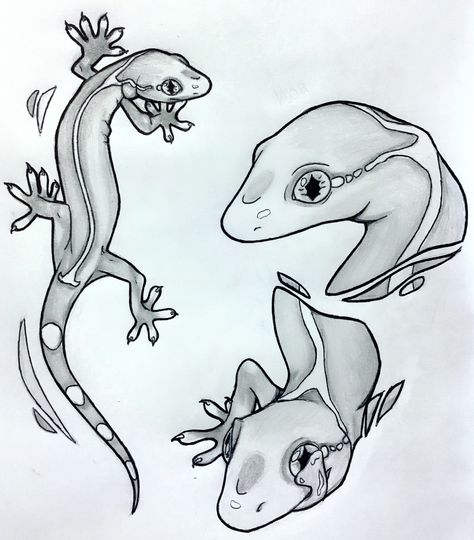 Dragon Lizard Drawing, Lizard Pencil Drawing, Lizard Reference Drawing, Lizard Sketch Simple, Lizard Head Drawing, Lizard Line Art, Geko Lizard Drawing, How To Draw Lizard, Lizard Tattoo Cute