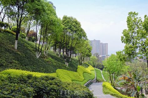 Planting Layout, Landscaping A Slope, Gate Designs Modern, Green Terrace, Landscape Architecture Drawing, Pond Landscaping, Sloped Garden, Park Landscape, Landscape Mode