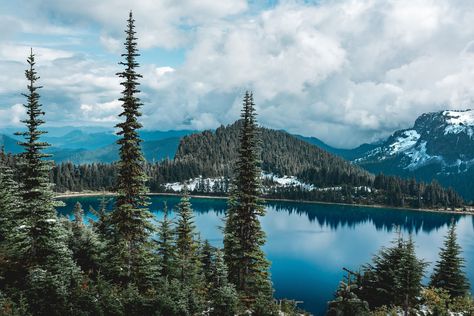 In less than an hour from downtown Seattle, you can be in a mossy forest, ascending 1,000 feet to an alpine lake that's too cold for swimming (though that's not going to stop you). These are 10 of our favorite hikes in and around Seattle (and if you need gear, remember that the REI flagship store is nearby). Seattle Hikes, Usa Trips, Washington Beaches, Mossy Forest, Beginner Hiker, Snow Lake, Road Warrior, Travel Notes, Downtown Seattle