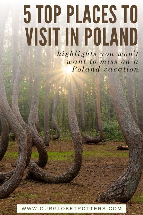 Plan your trip to Poland - here are 5 interesting places you'll want to include on a Poland itinerary picking up on the country's intriguing history and natural wonders | Poland vacation | Europe vacation ideas | Our Globetrotters Poland Itinerary, Poland Beach, Poland Nature, Poland Vacation, Poland Culture, Travel Poland, Vacation Europe, Germany Poland, Visit Poland