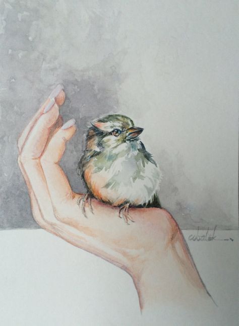 Bird in hand original  watercolor painting by ChristyObalek Bird In Hand Drawing, Watercolor Hand Painting, Bird On Hand, Watercolor Hands, Hands Watercolor, Bird In Hand, Hands Drawing, Watercolor Architecture, Painting Minimalist