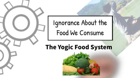 What is the yogic food system all about? | Yogic Diet Plan | Yoga Sutram Check more at https://empireblog.biz/yoga/what-is-the-yogic-food-system-all-about-yogic-diet-plan-yoga-sutram/ Yogic Food, Yogic Diet, Best Yoga Videos, Vitamin Tablets, Digestive Juice, Eat Slowly, Food System, Food Help, Yoga Videos