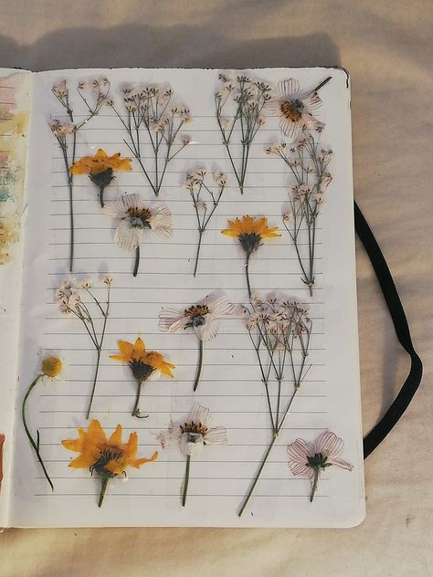 Flowers| journaling | journal page :) Flower Journal Aesthetic, Flower Journal, Dry Flower, Journal Aesthetic, Journal Page, Journal Pages, Dried Flowers, Dairy, Paintings