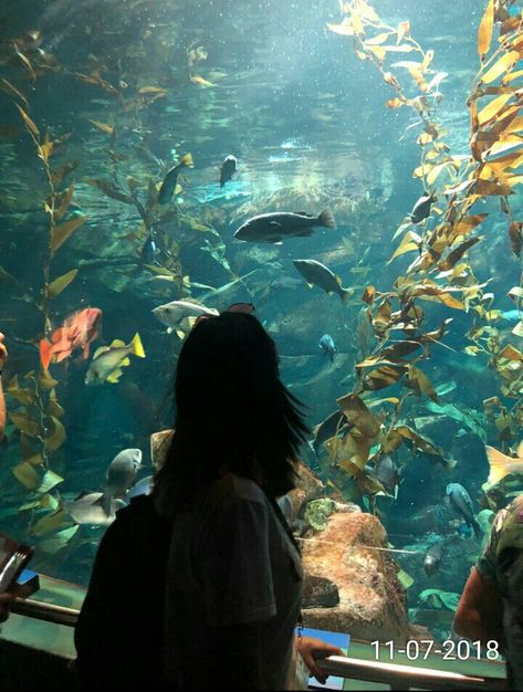 Ripley's Aquarium 💙 Under The Sea Aesthetic, The Sea Aesthetic, Ripleys Aquarium, Aquarium Aesthetic, Sea Aesthetic, Dream Lifestyle, Toronto Canada, Under The Sea, Pretty Pictures