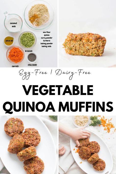 Made with healthy ingredients like broccoli, carrots, and quinoa, these egg and dairy-free vegetable muffins with quinoa are perfect for baby led weaning Plant Based Baby Led Weaning, Egg Free Blw, Egg Free Blw Recipes, Lentil Baby Led Weaning, Egg Bites Baby Led Weaning, Quinoa Blw Recipes, Quinoa Blw, Baby Led Weaning Vegetables, Quinoa Baby Led Weaning