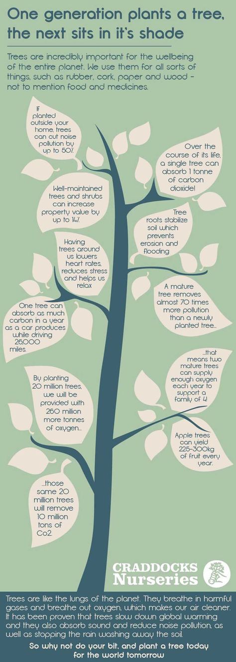 Tree Infographic Design, Tree Mind Map, Environment Infographic, Tree Infographic, Mind Maping, Peta Pikiran, What Is An Infographic, Concept Maps, Disney Art Style