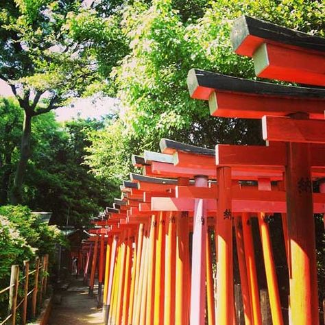 Yasukuni Shrine, Azaleas Garden, Japan Temple, Ueno Park, Hillside Garden, Last Holiday, Japanese Temple, Bamboo Garden, Sacred Places