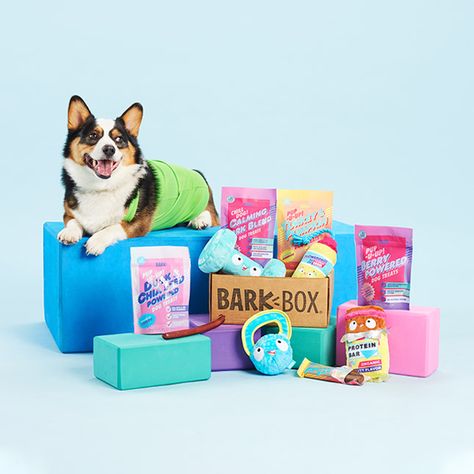 Best Dog Toys, Monthly Box, Natural Dog Treats, Bark Box, Subscription Gifts, Dog Party, Different Dogs, Free Dogs, Dog Treats