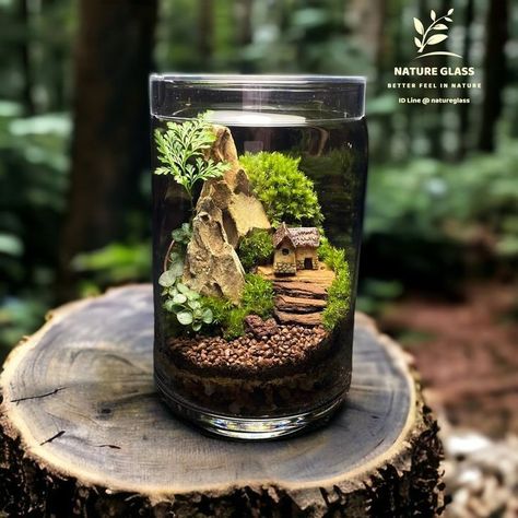 Home In Forest, Forest Terrarium, House Terrarium, Closed Terrarium Plants, Terrarium Scene, Miniature Zen Garden, Bottle Terrarium, Aquarium Garden, Mini Landscape