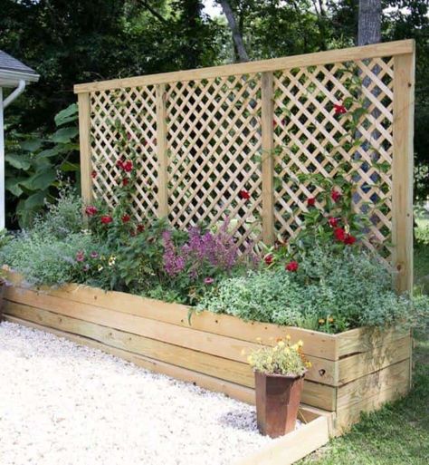 Propane Tank Landscaping Ideas, Hidden Propane Tank Ideas, Privacy Screen Planter, Privacy Screen Plants, Propane Tank Art, Propane Tank Cover, Outdoor Patio Diy, Diy Trellis, Summer Decorating Ideas