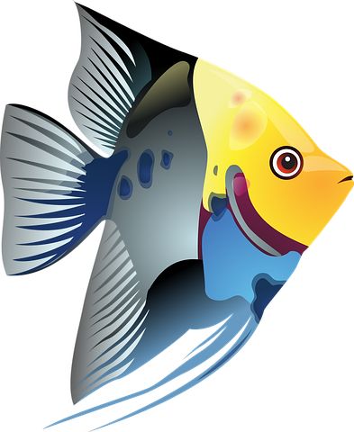 Poissons Tropicaux, Poisson, Mer Tropical Fish Painting, Koi Fish Drawing, Tropical Fish Tanks, Fish Clipart, Fish Drawing, Fish Ocean, Fish Graphic, Fish Vector, Fish Sea