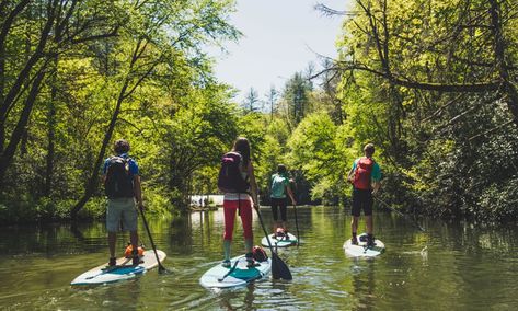 Sup Camping, Sup Paddle Board, Camping Packing List, Snowboard Girl, Float Trip, Stand Up Paddle Board, Camping Glamping, Summer Trip, Skateboard Art