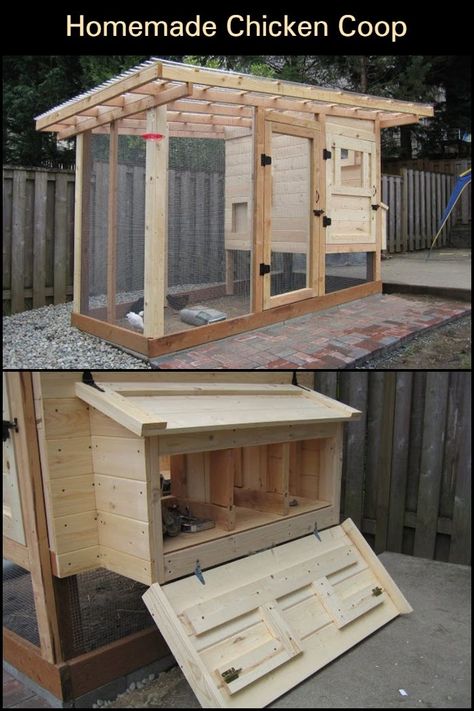 If you're keeping chickens in your backyard, it's important for you to provide protection from predatory animals and space to sleep at night.  Building your chooks a chicken coop is a given and here's one that you can build right in your backyard. It's also designed to make it easy for you to collect eggs - think of it as your chickens paying rent! ;) Homemade Chicken Coop, Chicken House Plans, Reban Ayam, Garden Concept, Small Chicken Coops, Easy Chicken Coop, Cute Chicken Coops, Chicken Shed, Chicken Coop Garden