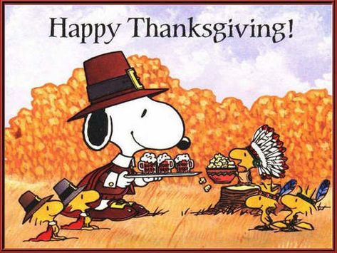 Funny Thanksgiving Images | Funny Turkey Pictures Photos Pics Wallpaper Free Download | Happy Thanksgiving Images 2019 - Thanksgiving Images Quotes Wishes Messages Pics & HD Wallpaper Free Download Funny Thanksgiving Images, Snoopy Thanksgiving, Thanksgiving Snoopy, Happy Thanksgiving Wallpaper, Peanuts Thanksgiving, Wallpaper Snoopy, Happy Thanksgiving Pictures, Charlie Brown Thanksgiving, Happy Thanksgiving Images