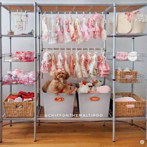 Closet For Dog Clothes, Dog Clothes Storage Ideas, Pet Closet Organization, Pet Clothes Organization, Dog Clothing Storage Ideas, Diy Dog Closet, Dog Closet Organization, Dog Clothes Closet Diy, Dog Clothing Storage