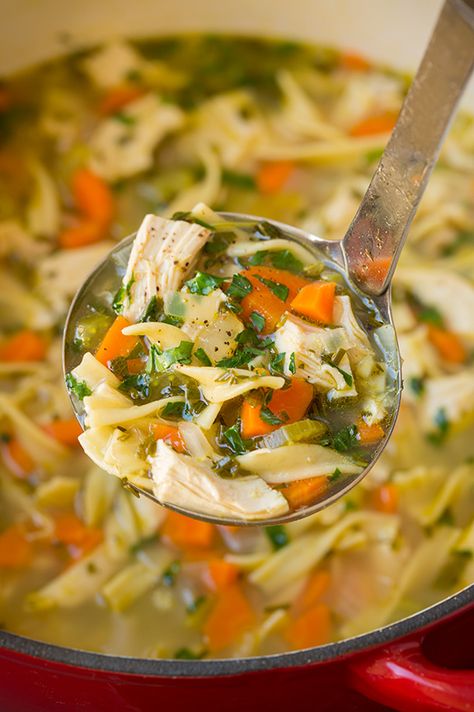 Chicken Noodle Soup | Cooking Classy Herb Broth, Chicken Noodle Soup Recipe Homemade, Chicken Noodle Soup Crock Pot, Chicken Noodle Soup Recipe, Homemade Egg Noodles, Chicken Noodle Soup Easy, Noodle Soup Recipe, Cooking Chicken, Chicken Noodle Soup Homemade