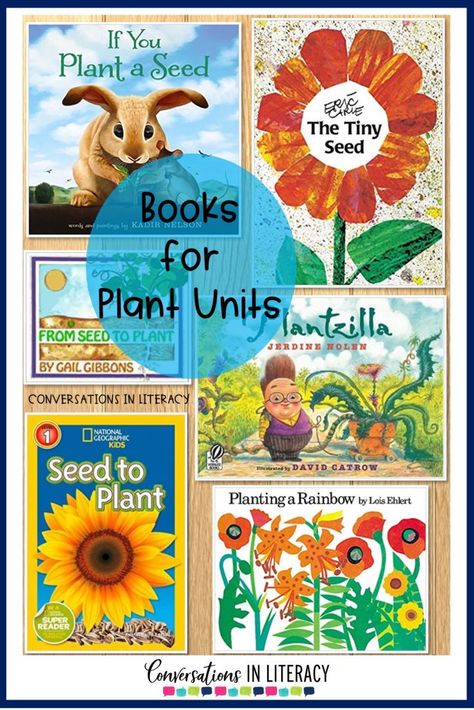 Books About Plants, Plant Unit Kindergarten, Science Writing Activities, Plants Life Cycle, Plants Life Cycle Activities, Plants Kindergarten, Kindergarten Units, Life Cycles Activities, Plants Unit