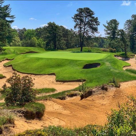 Bored Cat, Seve Ballesteros, Famous Lighthouses, Famous Golf Courses, Course Design, Pine Valley, Pga Championship, Torrey Pines, Augusta National