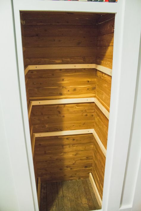 Small Closet Library Ideas, Convert Closet To Library, Small Closet Bookshelf, Small Closet Library, Closet To Bookshelf Convert, Deep Built In Shelves, Convert Closet To Built In Shelves, Bookshelf Closet Diy, Closet Library Ideas