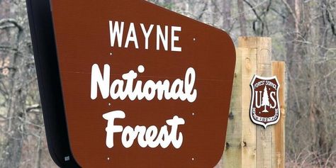 Earthquake Strikes Wayne National Forest Near Fracking Operations Places Worth Visiting, Ohio Travel, Colorado Hiking, Land Management, Celebrity Travel, Forest Service, Covered Bridges, Outdoor Art, National Forest