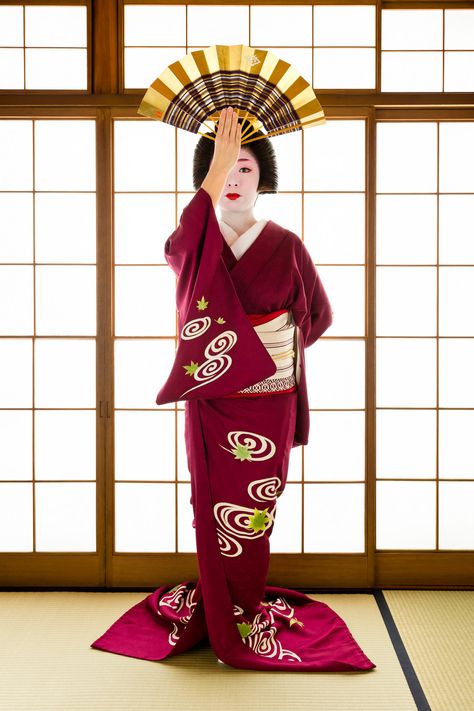 John Paul Foster - A Photographer of Geisha, Maiko, and Kyoto | Geisha & Maiko I | 1 Fan Dance, Kimono Japan, Geisha Art, Japanese Clothing, Japan Outfit, Japanese Geisha, Japan Culture, Beautiful Kimonos, Maneki Neko