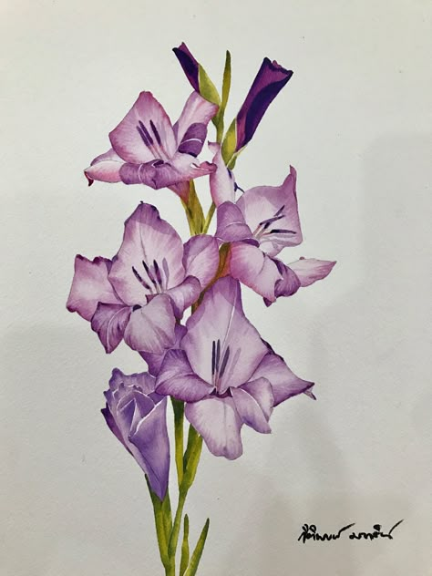 Kitipong Maksin — Gladiolus Flowers, 2017  (1536x2048) Gladiolus Flower Tattoos, Gladiolus Flower, Gladioli, Flower Guide, Floral Drawing, Flower Landscape, Watercolor Painting Techniques, Painting Medium, Nature Drawing