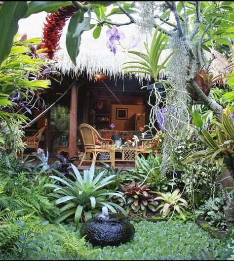 Bali Gardens, Small Tropical Gardens, Garden Florida, Bali Garden, Balinese Garden, Tropical Landscape Design, Tropical Garden Ideas, Florida Garden, Tropical Garden Design