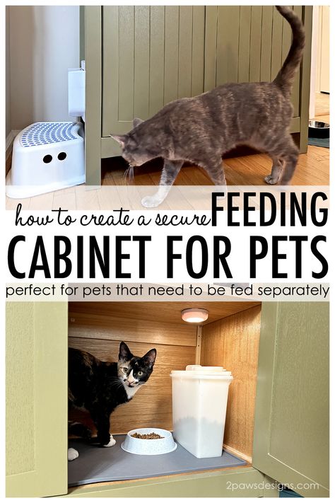 Creative Cat Feeding Station, Hide Cat Food From Dog, Diy Dog Proof Cat Food Station, Cat Feeding Station In Kitchen, Elevated Cat Feeding Station Dog Proof, Pet Feeding Station In Kitchen, Raised Cat Food Station, Diy Cat Feeding Station Dog Proof, Multiple Cat Feeding Station