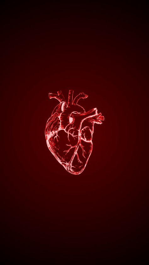 Anatomy Heart Wallpaper, Red Core Aesthetic Wallpaper, Aesthetic Coeur, Cold Hearted Wallpaper, Love Core Aesthetic Red, Big Heart Aesthetic, Human Heart Aesthetic, Red Core Wallpaper, Anatomical Heart Wallpaper