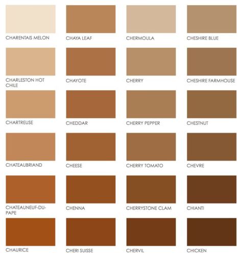 Nude Color Palette, Brown Paint Colors, Vintage Colour Palette, Color Design Inspiration, Hair Salon Decor, House Color Palettes, Brown Color Palette, Colors For Skin Tone, Color Harmony