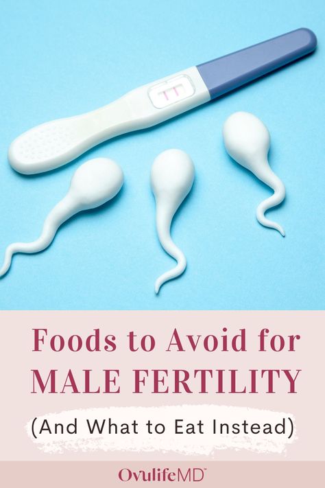 Male Fertility Foods, Sperm Count Increase, Natural Fertility Boosters, Boost Fertility Naturally, Testosterone Boosting Foods, Fertility Boosters, Fertility Nutrition, Sperm Health, Chances Of Pregnancy