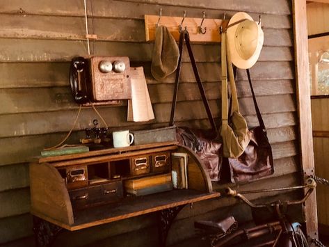 The Jungle Cruise Trading Co. A Photo Blog – The Mouse Minute Adventureland Aesthetic, Indiana Jones Room, Lily Houghton, Explorer Bedroom, Vintage Explorer, Cruise Rooms, Adventure Room, Safari Room, Pulp Adventure