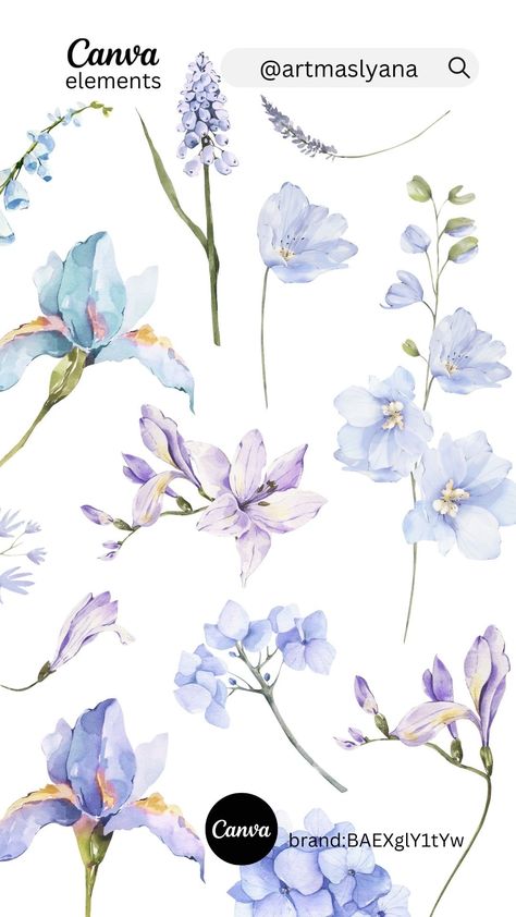 Digital Watercolor Flowers, Canva Flower Elements Keyword, Free Elements Canva, Canva Flower Elements, Canva Elements Free, Canva Keywords Elements, Canva Free Elements, Canva Graphics, Canva Guide