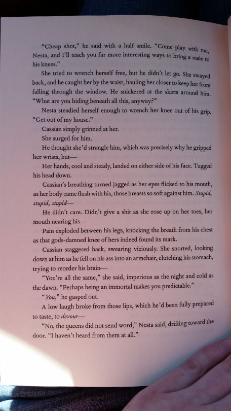 Part 14 of the bonus scene with Nesta and Cassian Elorcan Scenes, Nesta Cassian, Cassian And Nesta, Half Smile, Feyre And Rhysand, Empire Of Storms, A Court Of Wings And Ruin, Throne Of Glass Series, Sarah J Maas Books