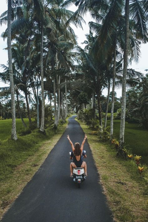 A drone picture showing a young couple hands up on a scooter on a palm tree road with a lot of plants and flowers. Bali Activities, Bali Baby, Bali Surf, Bali Honeymoon, Travel Pose, Freedom Travel, Bali Vacation, Bali Holidays, Bali Beaches