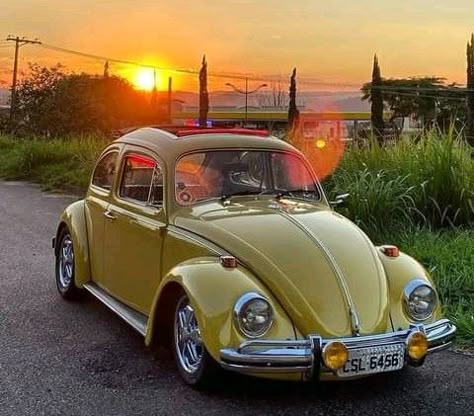 Old Vw Beetles, Yellow Volkswagen Beetle Aesthetic, Yellow Beetle Car Aesthetic, Yellow Bug Car, Yellow Beetle Car, Vw T3 Doka, Volkswagen Beetle Vintage, Action Board, Van Vw