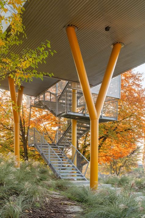 ElasticoFarm raises house on stilts around central void in Italian park Raised House, Elevated Home, House On Stilts, Tree Canopy, Exterior Cladding, Different Shades Of Green, Concrete Structure, Structure Architecture, Rooftop Garden