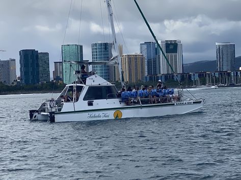 Snorkeling Tour, Visit Turtle Canyon Waikiki - Oahu Catamarans Best Snorkeling, Green Sea Turtle, Charter Boat, Hawaii Trip, Crystal Clear Water, Hawaii Travel, Catamaran, Big Island, Honolulu