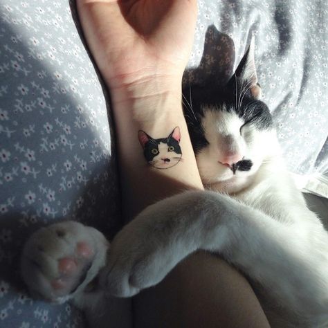 A Cat Tattoo, Cat Face Tattoos, Kitty Tattoos, Cat Tattoo Simple, Cute Cat Tattoo, Cat Tat, Tattoo Cat, Cat Tattoo Designs, Tiny Cats