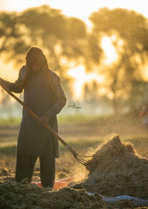 Hardworking Man, Garbage Truck, The Field, Street Photography, Wheat, Photography, Quick Saves, Rubbish Truck