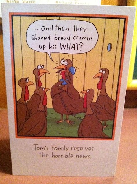 OH NO! Turkey Humor Hilarious, Thanksgiving Humor Hilarious Laughing, Happy Thanksgiving Quotes Friends, Funny Turkey Pictures, Turkey Humor, Thanksgiving Turkey Pictures, Funny Thanksgiving Pictures, Happy Thanksgiving Funny, Happy Thanksgiving Cards